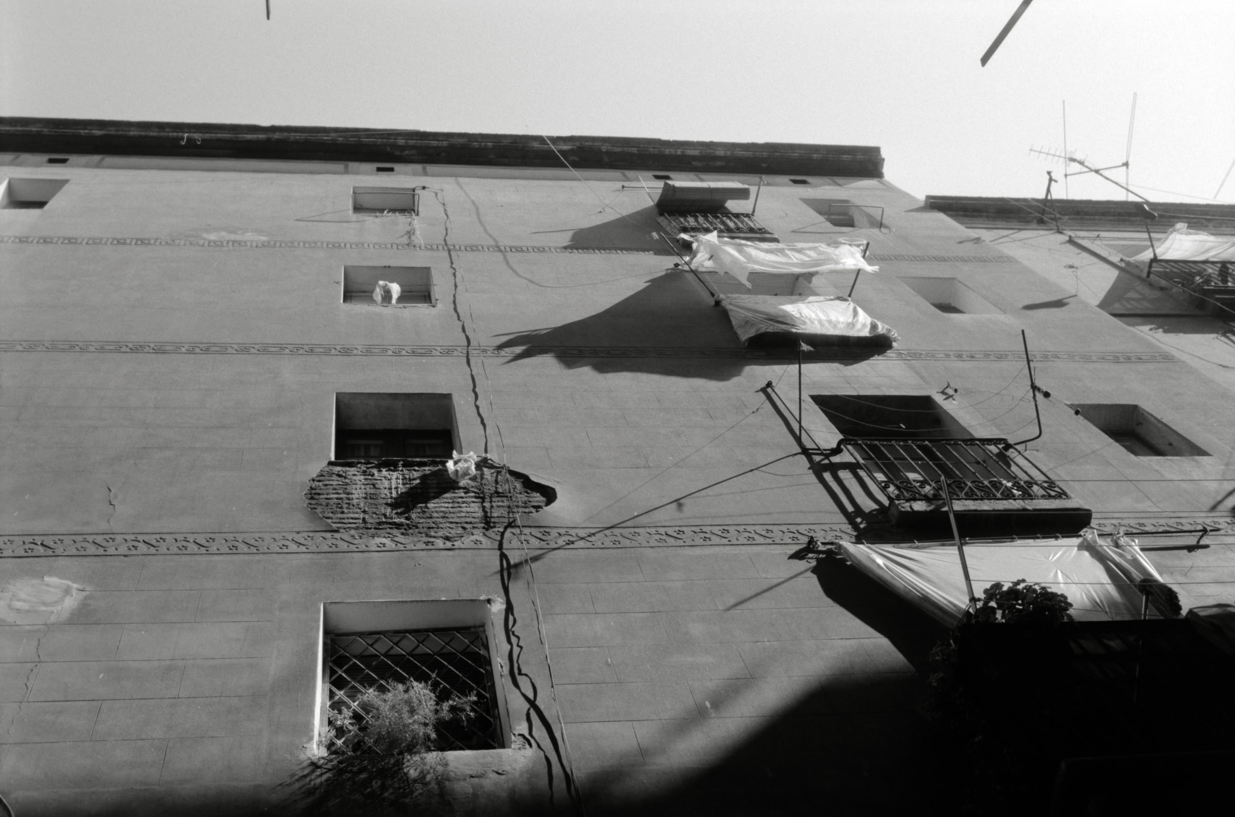 AHP F1996 03 001 sc240818 img13 NLP